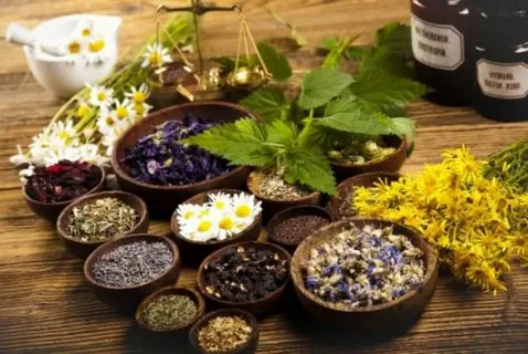 best naturopath Melbourne