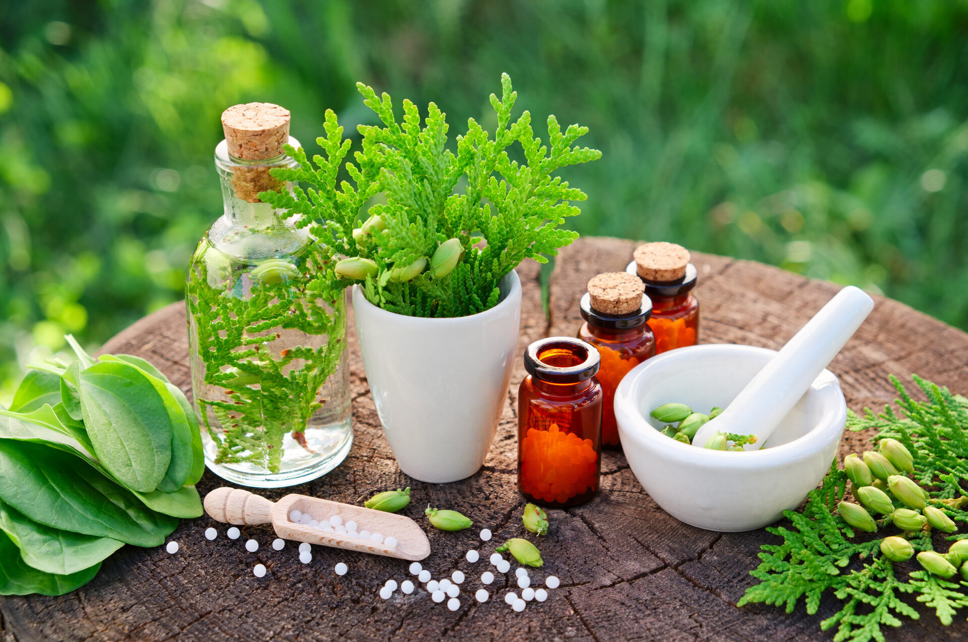 Naturopath Mount Waverley