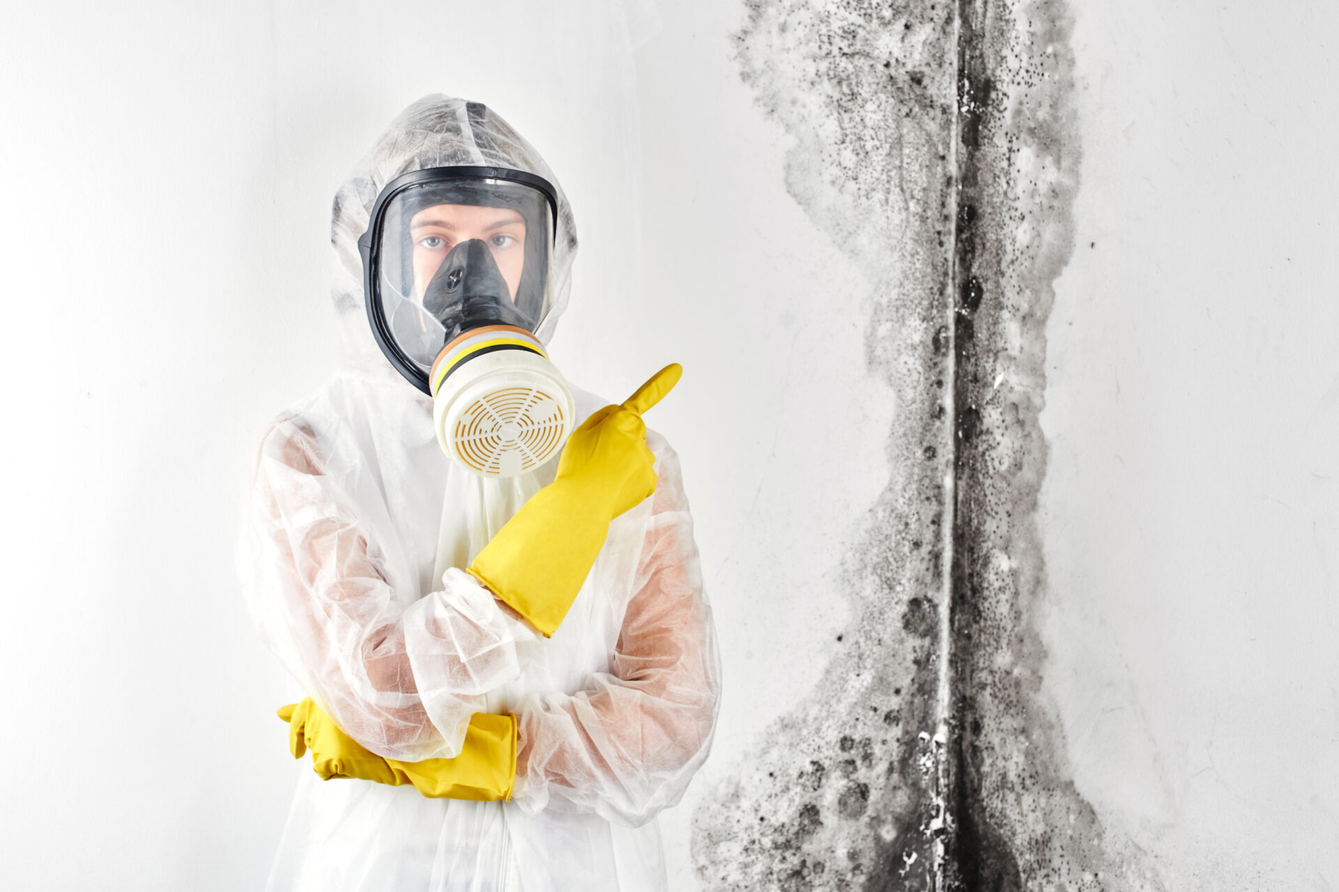 mould remediation Sydney