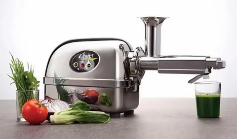 Angel slow juicer